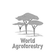 World Agroforestry Centre (ICRAF) logo